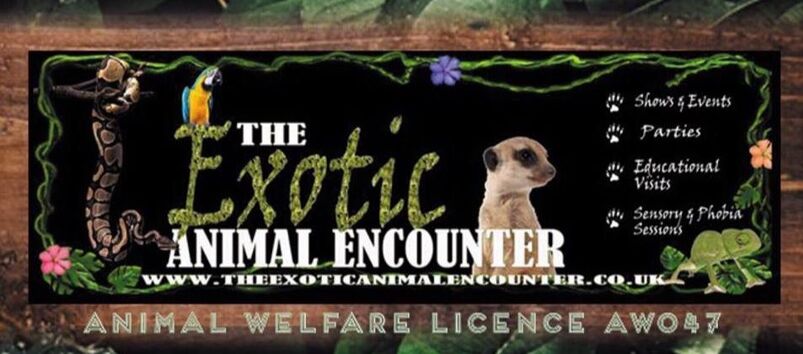 The Exotic Animal Encounter